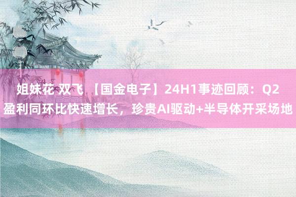 姐妹花 双飞 【国金电子】24H1事迹回顾：Q2盈利同环比快速增长，珍贵AI驱动+半导体开采场地