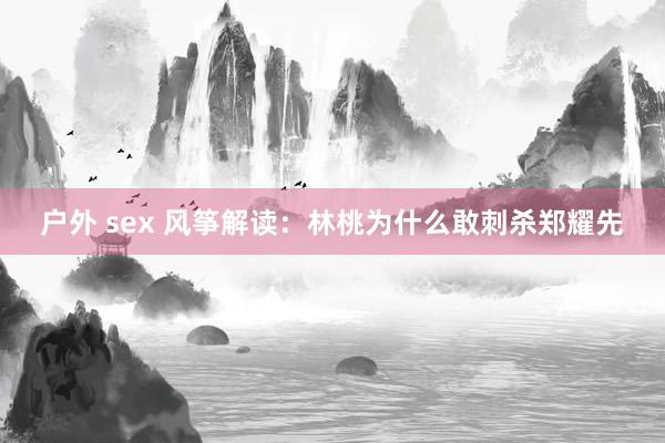 户外 sex 风筝解读：林桃为什么敢刺杀郑耀先