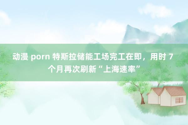 动漫 porn 特斯拉储能工场完工在即，用时 7 个月再次刷新“上海速率”